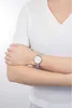 Daniel Wellington Dámske náramkové hodinky Classic Petite Náhľad obrázku produktu 9
