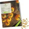 Tomatensamen (Golden Queen, 10 Korn) - Tomaten Saatgut aus Produktbild-Vorschau 1