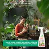 Silberkraft Neem Aktiv Spray zur Pflanzenpflege & Produktbild-Vorschau 3
