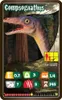 Gra Top Trumps Dinozaury Podgląd zdjęcia produktu 6