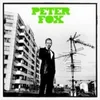 Peter Fox-Stadtaffe Produktbild-Vorschau 3