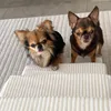 Escaliers pour chien ou chat Dogeste à 3 marches – velours Voir les images du produit 8