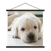 MuchoWow® Textilposter Eine Nahaufnahme eines müden Produktbild-Vorschau 1