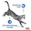 Royal Canin Indoor Sterilised W Sosie 12x85g Karma Mokra W Podgląd zdjęcia produktu 4