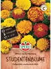SPERLI Studentenblumensamen Sparky 50 Pflanzen Produktbild-Vorschau 1