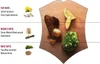Victorinox WOOD edt vapo 100 ml Produktbild-Vorschau 3
