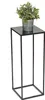 A potted plant sits on a black square-topped metal stand against a white background. Anteprima dell’immagine prodotto