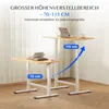 FLEXISPOT Gasfeder Höhenverstellbarer Schreibtisch 100×60 Produktbild-Vorschau 5