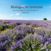 Weleda 4001638099943, Öl, Nährend, Entspannung, Beruhigend, Produktbild-Vorschau 9