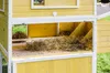 Dehner Hühnerstall Happy Farm Miami, mit Freigehege, 158.5 Produktbild-Vorschau 8