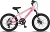 Licorne Bike Thunder Premium Produktbild-Vorschau 2