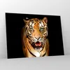 Bilder auf glas - tiger tier - 100x70cm - Glasbilder - Produktbild-Vorschau 4