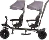 Chipolino Dreirad Tricycle Hip Hop, zwei Kinder, bis 40 kg, Produktbild-Vorschau 3