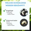 Futeco® – HB-Nematoden gegen Dickmaulrüssler & Engerlinge – Produktbild-Vorschau 3