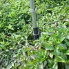 Lampa kempingowa Wiltec V2 LED reflektor 115W 11224 lumenów Podgląd zdjęcia produktu 7