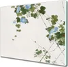 Coloray Schneidebrett Herdabdeckplatte 60x52 cm Produktbild-Vorschau 1
