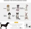 Remorque pour chien PawHut 2-en-1 Buggy pour chien, Voir les images du produit 3