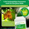 Purgrün -Kiwi-Dünger 1 Liter Produktbild-Vorschau 4