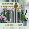 4er Set Orchideentopf Transparent Orchideen Übertopf Produktbild-Vorschau 6