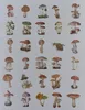Vintage-Pilze-Aufkleber – Washi-Aufkleber-Set – 60 Produktbild-Vorschau 3