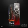 Hasbro Star Wars: Andor Černá série Luthen Rael 15 cm F5529 Náhled obrázku produktu 12