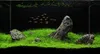 Aquariumrueckwand Selbstklebend Matt 200x50cm Schwarz Produktbild-Vorschau 4