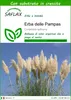 SAFLAX  - Erba delle Pampas - 200 semi - Con substrato - Anteprima dell’immagine prodotto 1