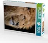 CALVENDO Puzzle Löwe | 1000 Teile Lege-Größe 64x48cm Produktbild-Vorschau 2