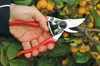 Prerezávacie nožnice Felco 9 Náhľad obrázku produktu 10