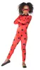 Coccinella miracolosa per bambini: 116 Anteprima dell’immagine prodotto 2