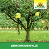 Neudorff KirschmadenFalle - 7 insektizidfreie Leimfallen - Produktbild-Vorschau 5
