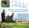 NAIZY Agility Set Hunde Ausrüstungs 4 x Hürden Produktbild-Vorschau 4