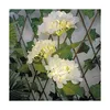 SUNARI Kvetinová solárna lampa LED FLS-93 Hydrangea 3000K Náhľad obrázku produktu 3