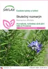 SAFLAX - Skutečný rozmarýn - Rosmarinus officinalis - 100 Náhled obrázku produktu 1