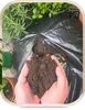 Gemüseerde 20 l - Hochwertig - Nährstoffreich - Für Garten Produktbild-Vorschau 5