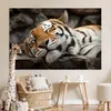 MuchoWow® Poster Tiger - Ruhend - Felsen 180x120 cm - Produktbild-Vorschau 7
