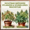 Green Home Grow-Erde 72 Liter | All Mix Erde für Wachstum & Produktbild-Vorschau 7