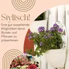 2er Set Blumentopf Wand Blumentopf Wandmontage Produktbild-Vorschau 3