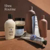 L'Occitane Shea , Krém na nohy, Hydratačný, Upokojujúci, Náhľad obrázku produktu 5