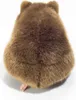 Teddy herman wombat, approx. 26cm Voir les images du produit 4