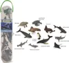COLLECTA Animaux aquatiques 1, 12 pièces Voir les images du produit 8
