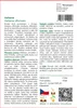 SAFLAX - Verbena - Verbena officinalis - 250 Semena Náhled obrázku produktu 3