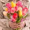 Bloomique - Mélange de 20 - Tulipa Rainbow Mix - Bulbes de Voir les images du produit 4