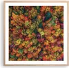 Gerahmtes Poster - Rahmen in heller Eiche - Herbst Produktbild-Vorschau 1