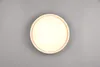 Plafoniera LED FELIS Bianco - R64391031 Anteprima dell’immagine prodotto 4