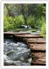 Poster - Poster ohne Rahmen - Park natur grün bäume - Produktbild-Vorschau 1