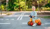 A young child is riding a balance bike on a simulated road. Anteprima dell’immagine prodotto