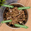 24 x 400 g Lecker.Pet® Luna's Saftige Fleischmahlzeit mit Produktbild-Vorschau 2
