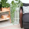 A plant stand with a trailing plant next to a sofa and a shelving unit with plants. Produktbild-Vorschau