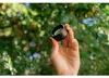 Objectif pour smartphone, série t, 58 mm, argenté. Couleur Voir les images du produit 5